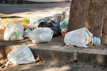 Garbage bag on street