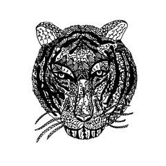 Sketch tiger with pattern on an isolated background