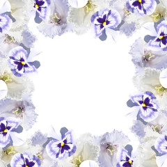 Beautiful floral background of pansies and tulips 
