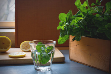 An ingredients for peppermint tea on light blue rustic table, lemon slices on chopping board,fresh mints in wooden box with peppermint leaves laying on table, healthy drink for winter,release stress
