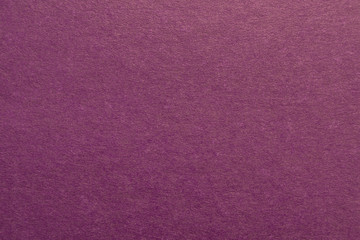 Fototapeta premium carton of purple color