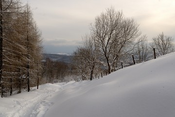 Randonnée dans les Vosges neige