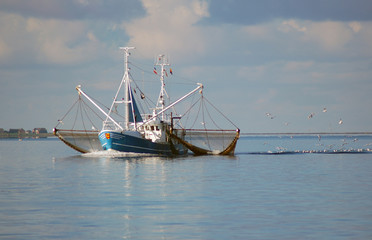 Naklejka premium Krabbenfang