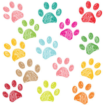 Colorful Paw Print