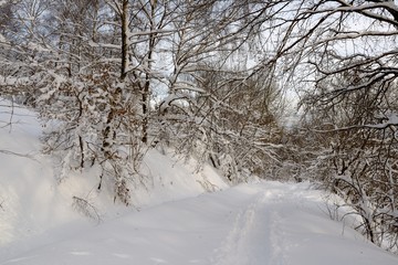 Randonnée dans les Vosges neige