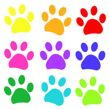 Colored paw prints
