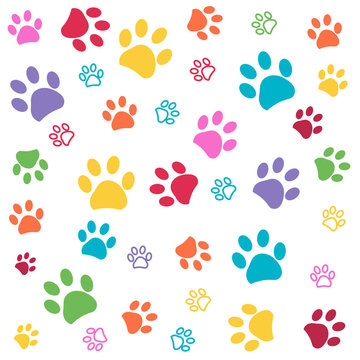 Colorful paw pattern 
