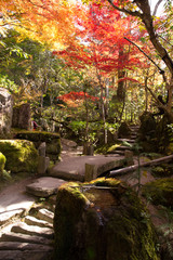 Autumn leaves at Hosen-in, Kyoto, Japan