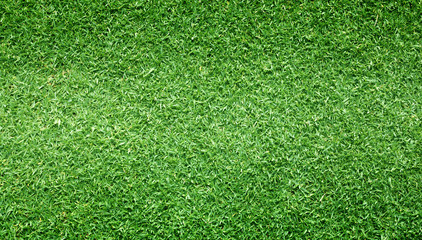 Obraz premium grass pattern textured background.