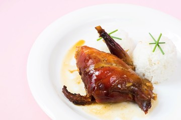 Baked rabbit, rice on white plate.