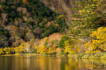 Yunoko lake in Autumn