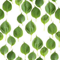 green leaves, seamless pattern