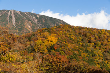 Mount Nantai and beautiful forest