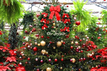 メリークリスマス