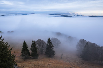 Obraz na płótnie Canvas Misty Cloudy Foggy Schauinsland Freiburg Germany