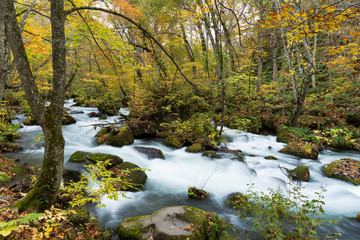 Oirase Stream in autumn
