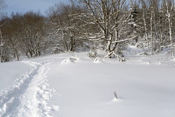 Randonnée dans les Vosges neige