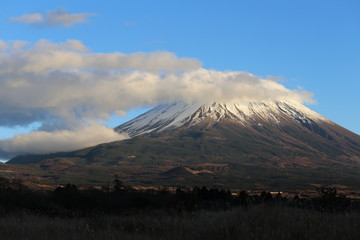 Fototapeta na wymiar 朝霧高原からの富士山頂