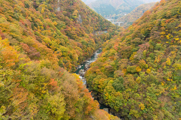 Beautifull landscape in kinugawa