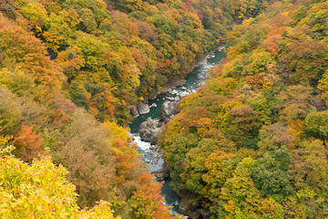 Autumn landscape in kinugawa