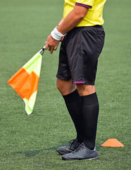 Soccer referee during the match