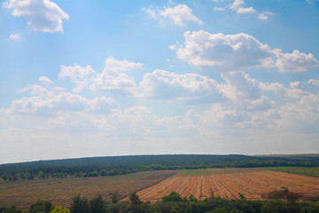 Obraz premium Countryside landscape