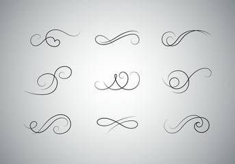 Vector Calligraphic Flourishes