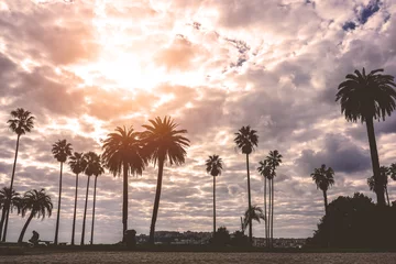 Photo sur Plexiglas Palmier Silhouette of amazing landscape of beautiful palm trees