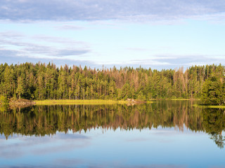 forest lake and reflections