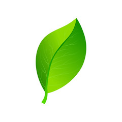 Obraz premium Vector illustration of ecology concept icon with glossy green leave. Eco Concept.