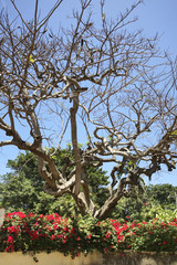 View of Varadero. Cuba