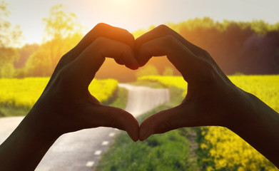 heart shape in Rapeseed
