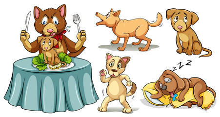 Dogs in different actions