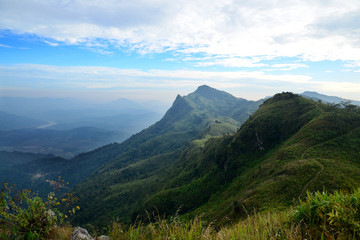 Landscape of moving mist in the mountain and hill. View point of mountain at doiphatang