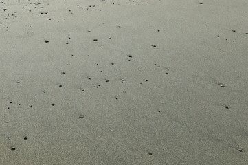 砂浜に打ち上げられた小石
