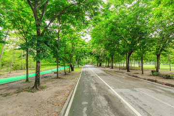 Fototapeta na wymiar View of Vachirabenjatus Park or Train park in Bangkok Thailand.