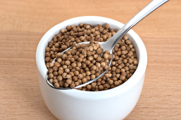 Coriander seeds spoon and in small white bowl