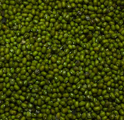 Green beans,.Mung Bean can be used to make tofu,.Mung Bean