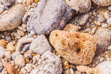 Dead coral flower shape, at Kalim bay, Phuket, Thailand