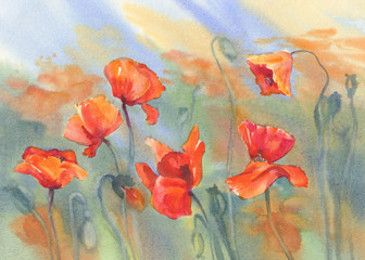 poppy field watercolor