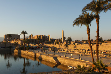 Luzor temple in Egypt with pond and palm
