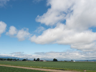 Fototapeta na wymiar Blue sky and cloud in countryside
