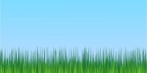 Fototapeta na wymiar juicy green grass blue sky background, spring background adaptive for social networking, vector template