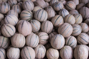 Small round striped melons on counter at Moroccan market