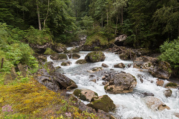 Naklejka na ściany i meble fast forest river - endless stream