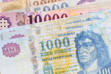 Forint. Hungarian currency.