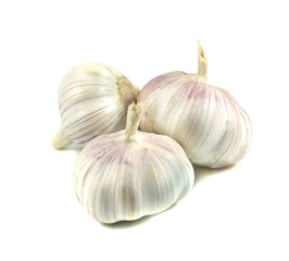Three garlics isolated on white background
