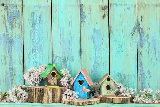 Display of colorful birdhouses by rustic wood background