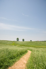 country road in the farmland2