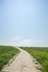 country road in the farmland3